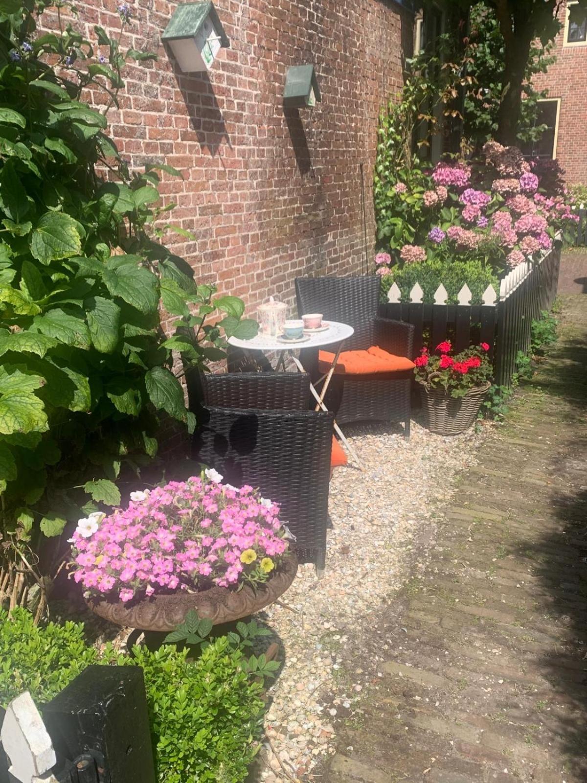 TERP WONING bij Schiermonnikoog Op de Terp Noordoost Friesland Appartement Ee Buitenkant foto